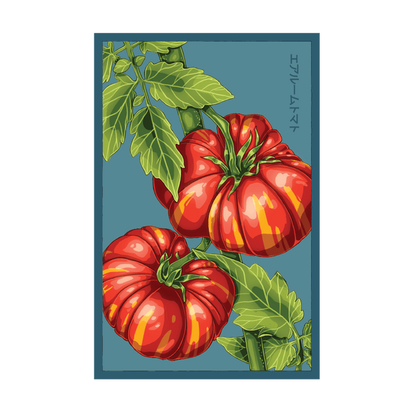 Old German Heirloom Tomato seed packet - Shido Seeds non-GMO woodblock design