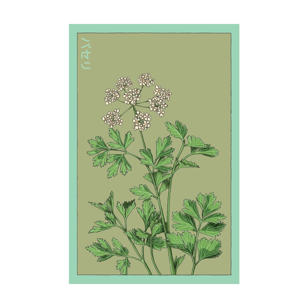 Parsley Herb Seeds Packet - Chive Ceramics Studio - Seed Collection - Chive Ceramics Studio