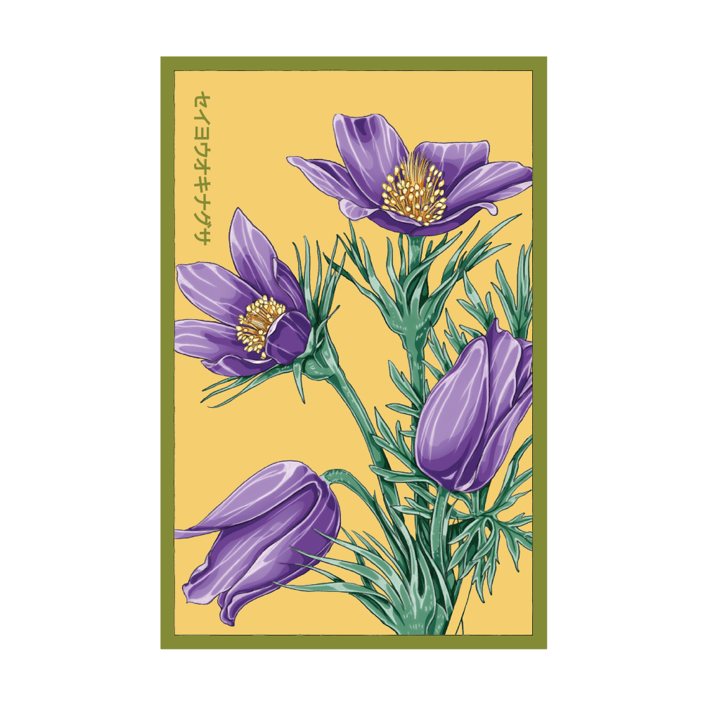 Greater Pasque Flower seed packet - Shido Seeds non-GMO vacuum-sealed woodblock design