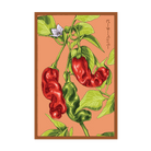 Peter Pepper Vegetable Seeds Packet - Chive Ceramics Studio - Seeds - Chive Ceramics Studio