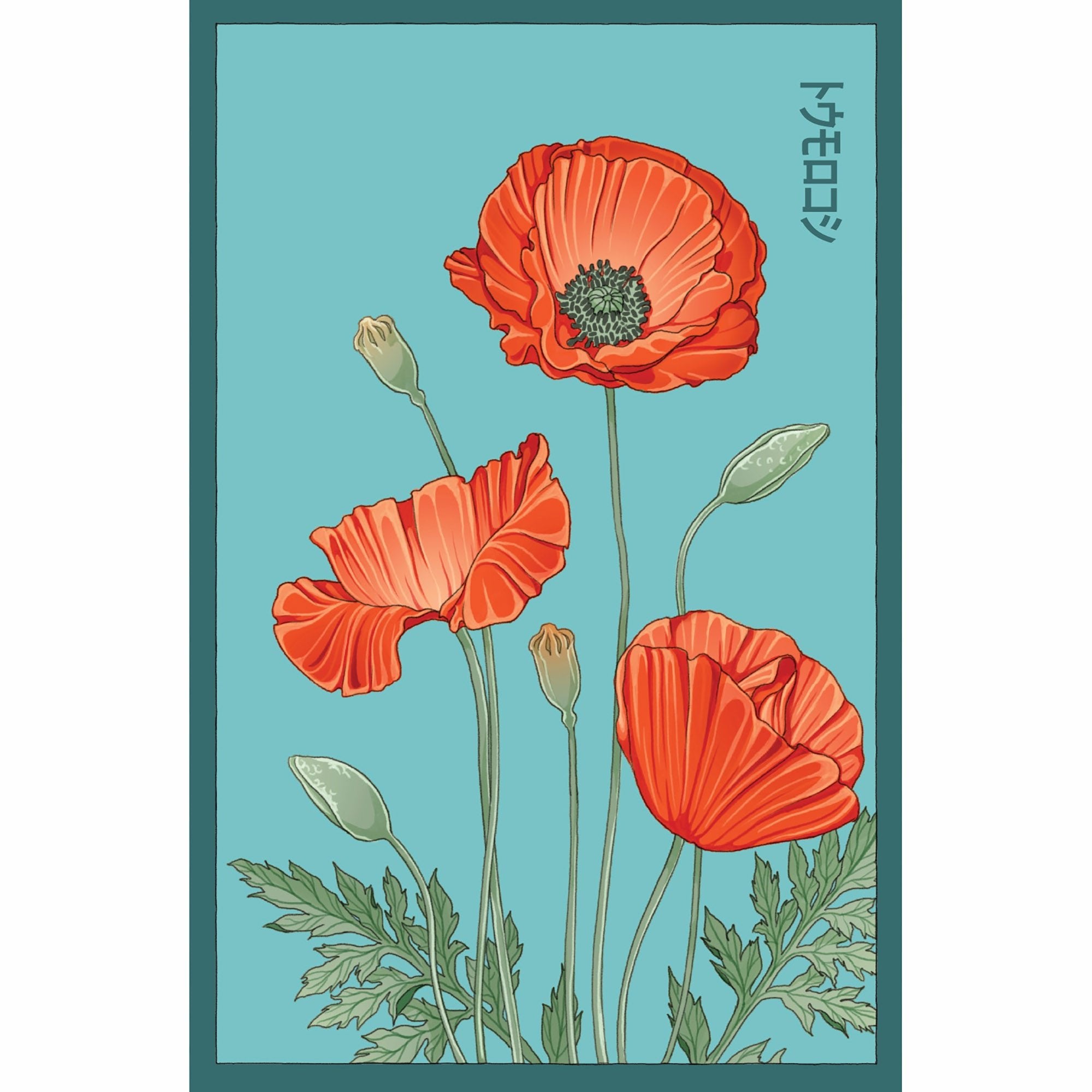 Corn Poppy Flower Seeds Packet - Chive Ceramics Studio - Seed Collection - Chive US