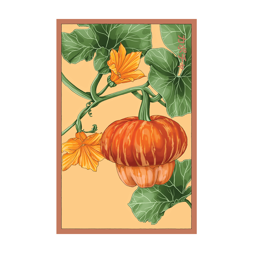 Pumpkin Squash Flower Seeds Packet - Chive Ceramics Studio - Seeds - Chive US