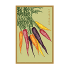 Rainbow Carrot Vegetable Seeds Packet - Chive Ceramics Studio - Seeds - Chive Ceramics Studio