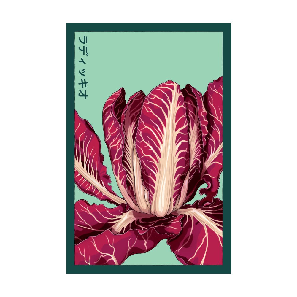 Radicchio Vegetable Seeds Packet - Chive Ceramics Studio - Seed Collection - Chive Ceramics Studio