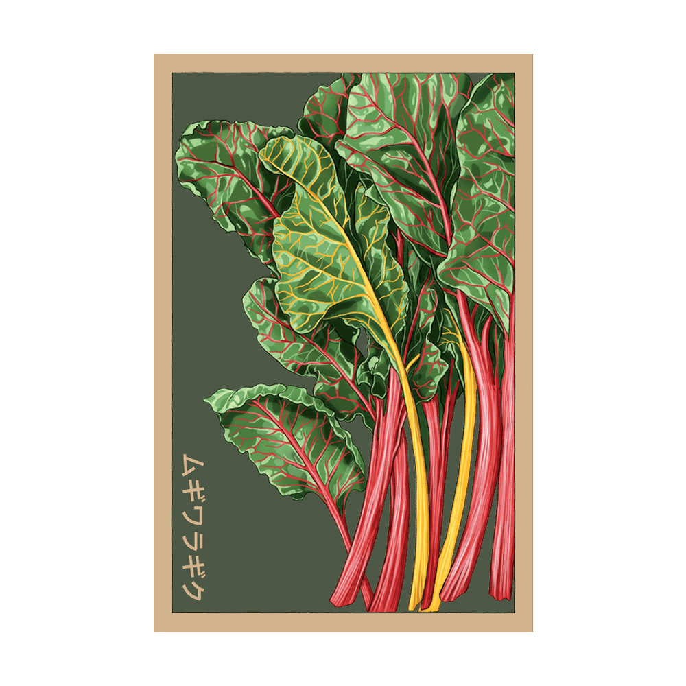1/4 Lb Rainbow Swiss Chard Seeds – Everwilde Farms – Mylar Pack – Non-GMO – 2024 Crop