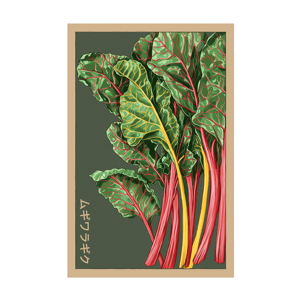 Rainbow Chard Vegetable Seeds Packet - Chive Ceramics Studio - Seeds - Chive Ceramics Studio