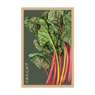 Rainbow Chard Vegetable Seeds Packet - Chive Ceramics Studio - Seed Collection - Chive Ceramics Studio