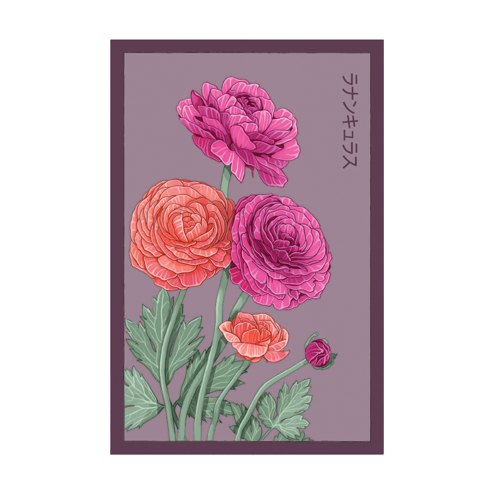 planting ranunculus seeds Ranunculus Flower Seeds | Non-GMO, Vacuum-Sealed