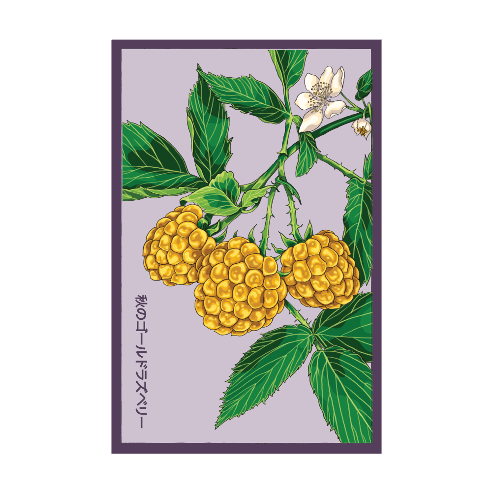 Raspberry Fall Gold seed packet - Shido Seeds non-GMO vacuum-sealed woodblock design