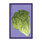 Romaine Lettuce Vegetable Seeds Packet - Chive Ceramics Studio - Seeds - Chive Ceramics Studio