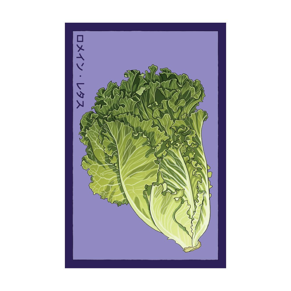 Romaine Lettuce Vegetable Seeds Packet - Chive Ceramics Studio - Seed Collection - Chive Ceramics Studio