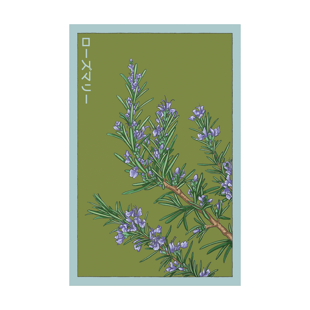 SEROSE-1.png?v=1738717395&