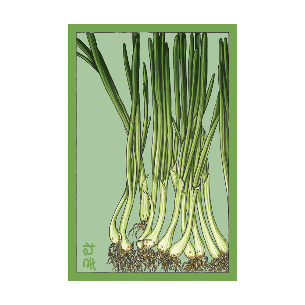 Scallions Vegetable Seeds Packet - Chive Ceramics Studio - Seeds - Chive Ceramics Studio