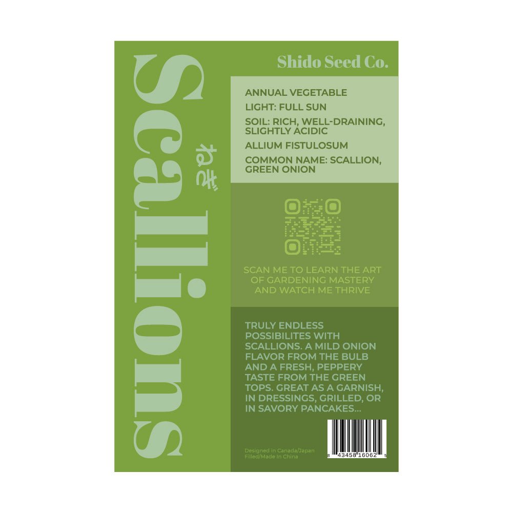 Scallions Vegetable Seeds Packet - Chive Ceramics Studio - Seed Collection - Chive Ceramics Studio