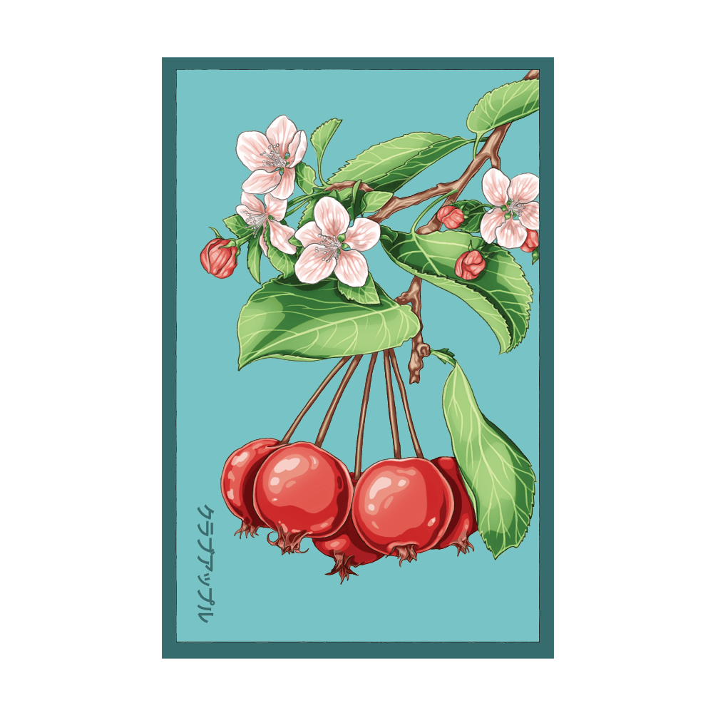 Siberian Crabapple seed packet - Shido Seeds non-GMO vacuum-sealed woodblock design