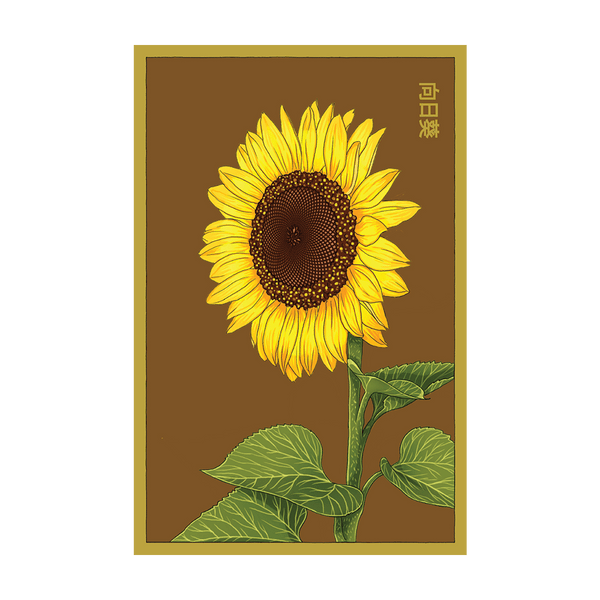 Sunflower seed packet - Shido Seeds non-GMO vacuum-sealed woodblock design