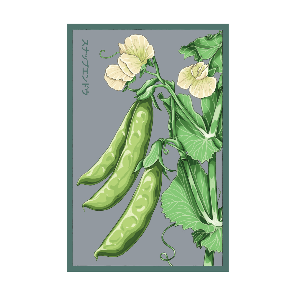 Sugar Snap Pea seed packet - Shido Seeds non-GMO vacuum-sealed woodblock design