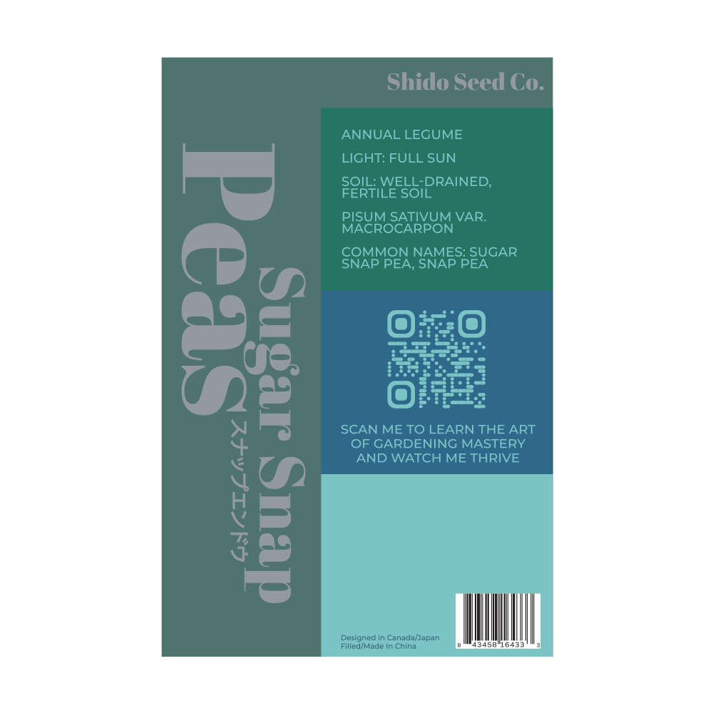 Sugar Snap Pea Vegetable Seeds Packet - Chive Ceramics Studio - Seeds - Chive Ceramics Studio