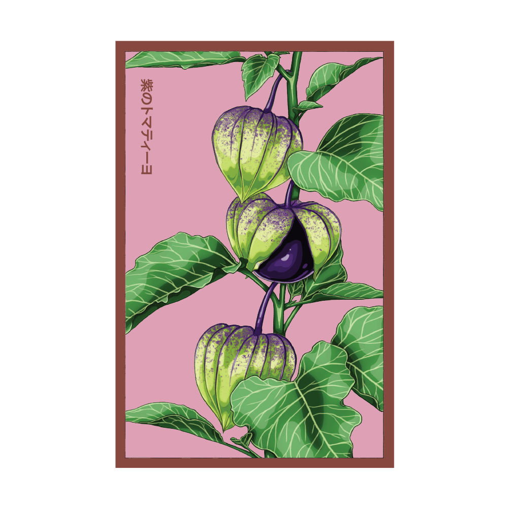 Sweet Purple Tomatillo seed packet - Shido Seeds heirloom non-GMO woodblock design