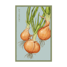 Texas Super Sweet Onion seed packet - Shido Seeds non-GMO woodblock design