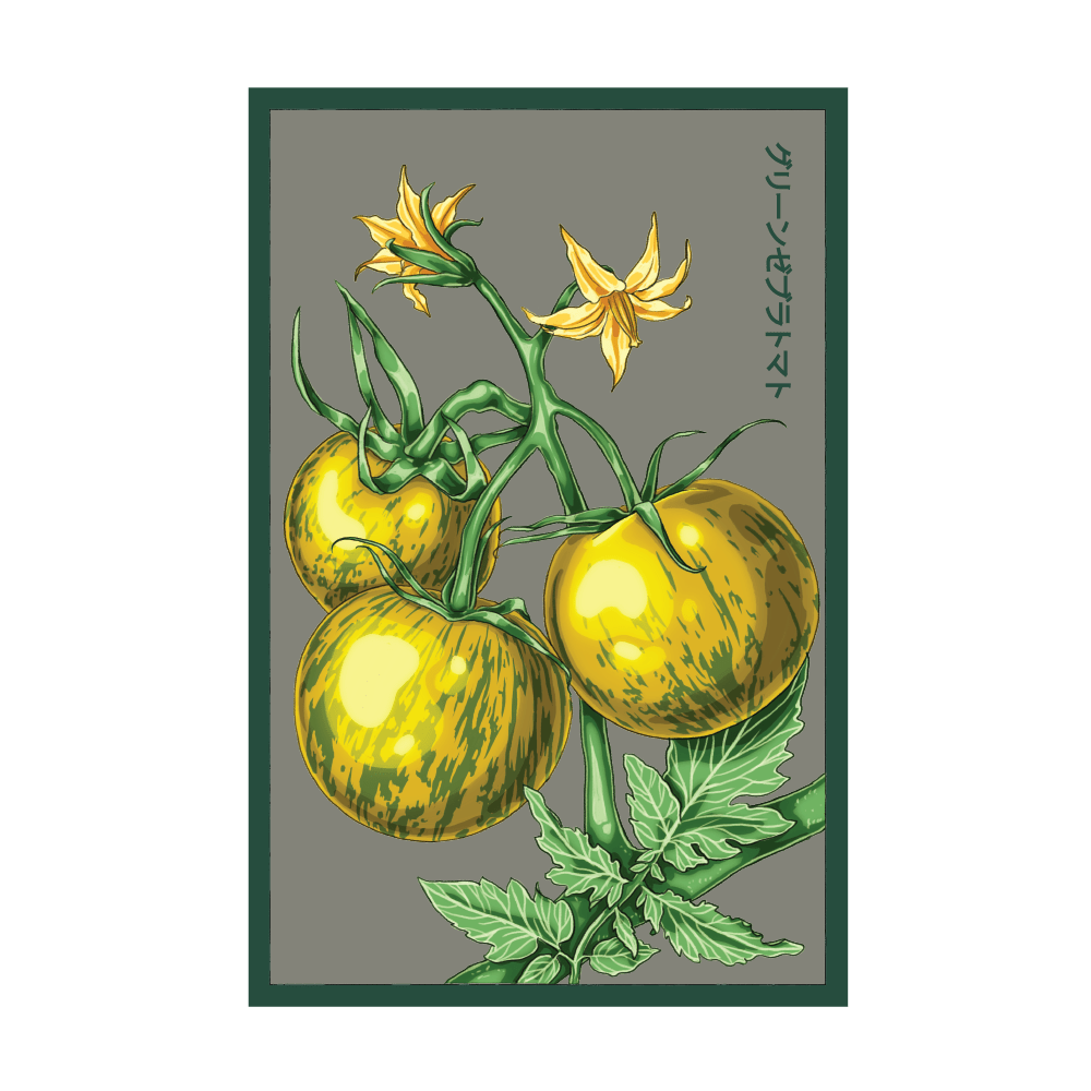 Green Zebra tomato seed packet - Shido Seeds heirloom non-GMO woodblock design