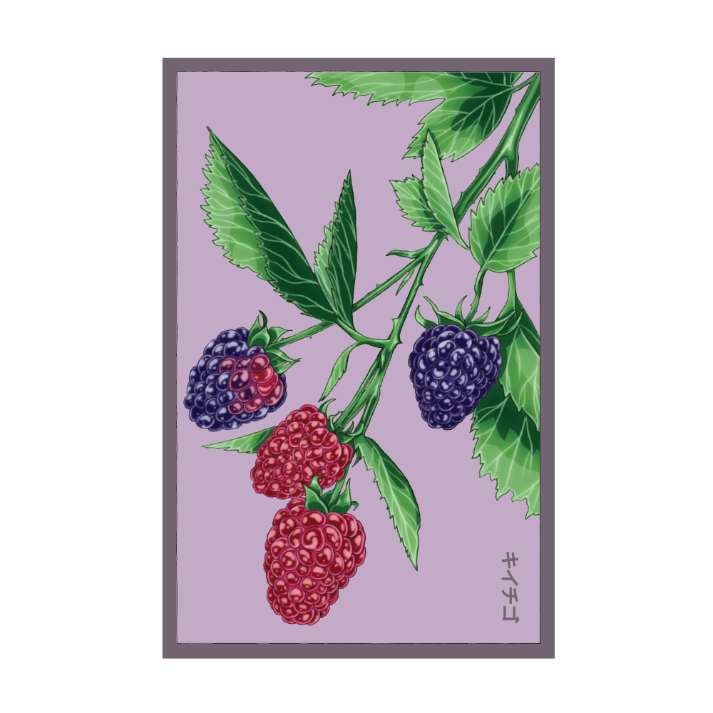 Tummelberry seed packet - Shido Seeds non-GMO vacuum-sealed woodblock art design