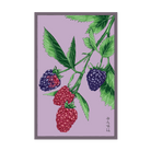 Tummelberry Flower Seeds Packet - Chive Ceramics Studio - Seeds - Chive Ceramics Studio