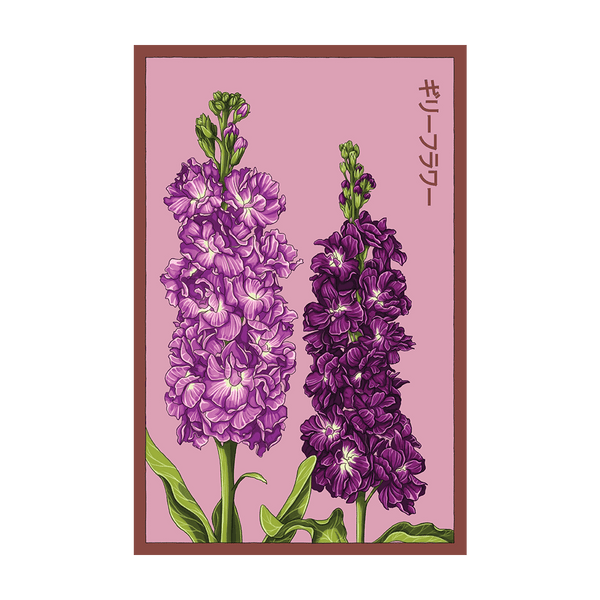 SEVIOL-1_grande.png?v=1739336086