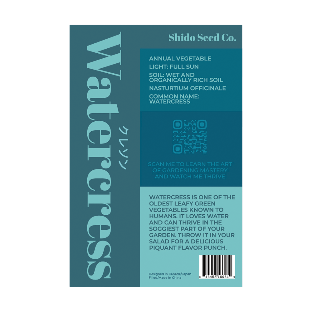 Watercress peppery green growing in shallow water or moist soil
