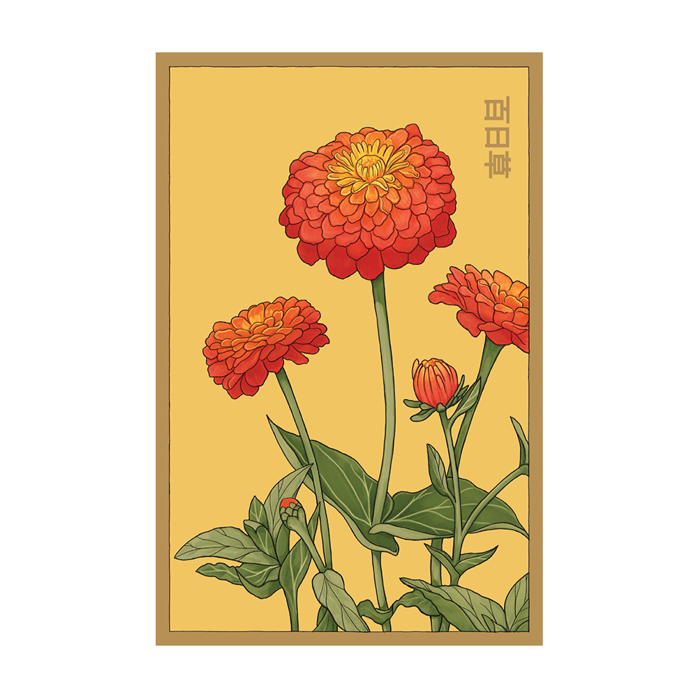 Zinnia Seeds | Non-GMO, Vacuum-Sealed | Shido