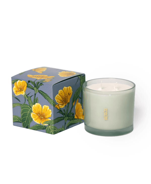 Shido Coconut Soy Blend Candle - Chive Ceramics Studio - Candles - Chive Ceramics Studio