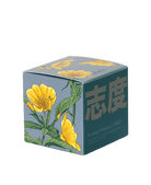 Shido Coconut Soy Blend Candle - Chive Ceramics Studio - Candles - Chive Ceramics Studio