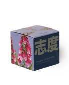 Shido Coconut Soy Blend Candle - Chive Ceramics Studio - Candles - Chive Ceramics Studio