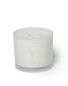 Shido Coconut Soy Blend Candle - Chive Ceramics Studio - Candles - Chive Ceramics Studio
