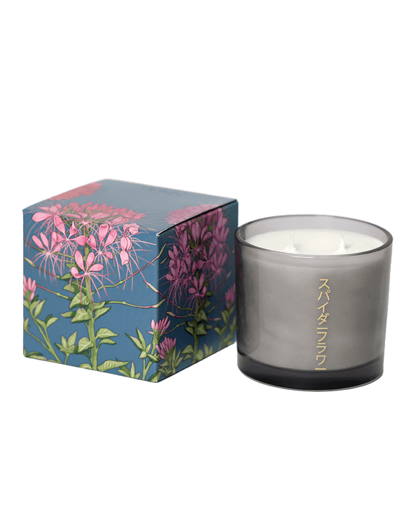 Shido Coconut Soy Blend Candle - Chive Ceramics Studio - Candles - Chive Ceramics Studio