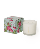 Shido Coconut Soy Blend Candle - Chive Ceramics Studio - Candles - Chive Ceramics Studio