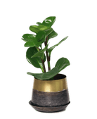 Joe Metal Pot With Drainage Hole | 3 & 5 inch - Chive Ceramics Studio - Pots - Chive Ceramics Studio