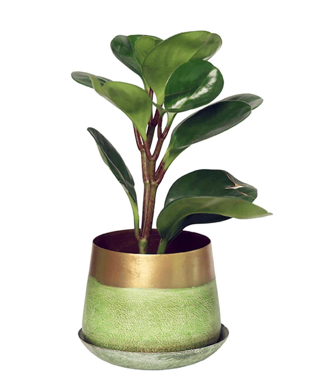 Joe Metal Pot With Drainage Hole | 3 & 5 inch - Chive Ceramics Studio - Pots - Chive Ceramics Studio