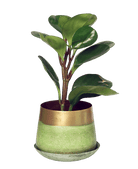 Joe Metal Pot With Drainage Hole | 3 & 5 inch - Chive Ceramics Studio - Pots - Chive Ceramics Studio