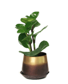 Joe Metal Pot With Drainage Hole | 3 & 5 inch - Chive Ceramics Studio - Pots - Chive Ceramics Studio