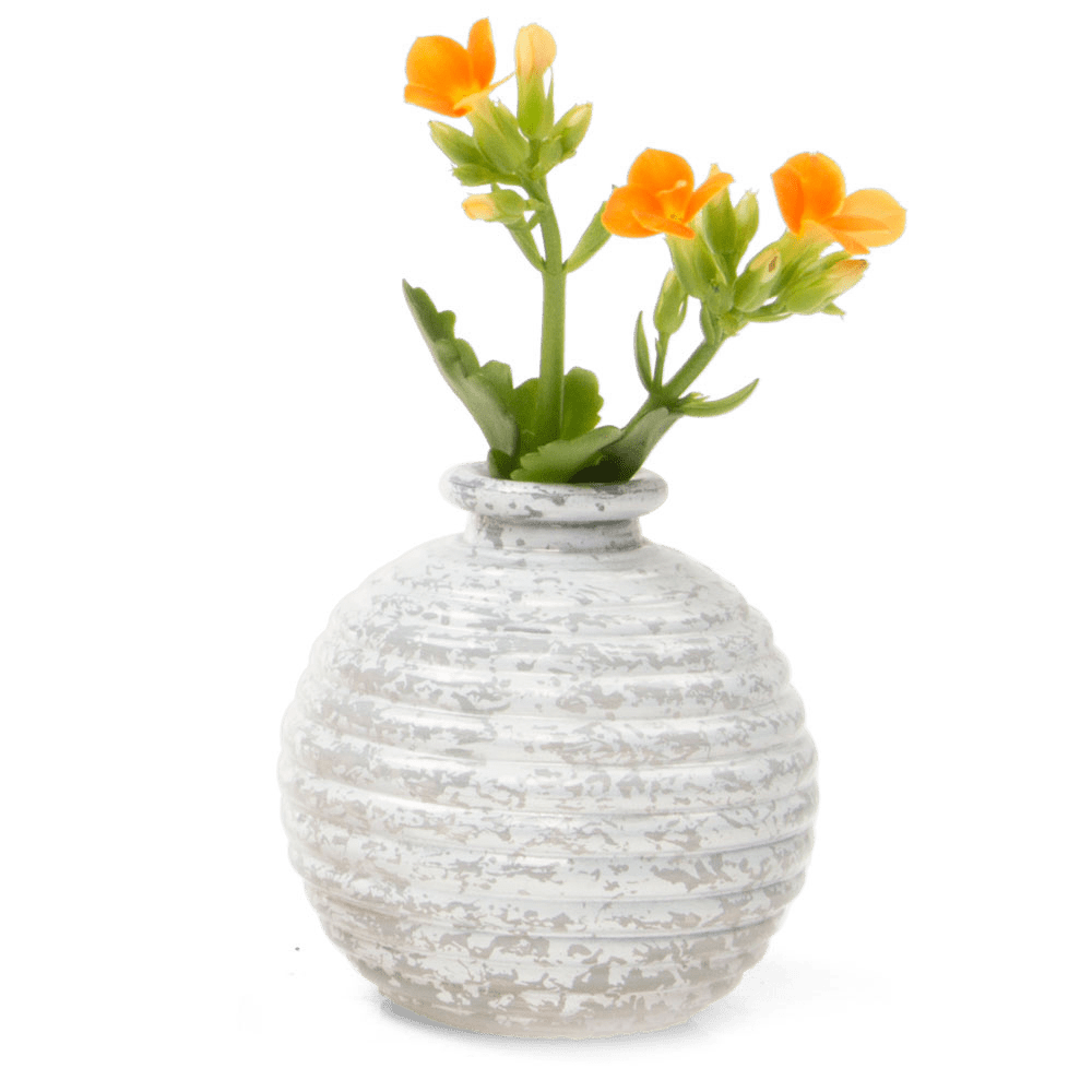 Smasak Glass Bud Vase - Chive Ceramics Studio - Vases - Chive US