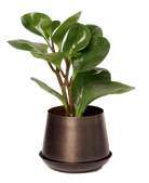 Joe Metal Pot With Drainage Hole | 3 & 5 inch - Chive Ceramics Studio - Pots - Chive Ceramics Studio