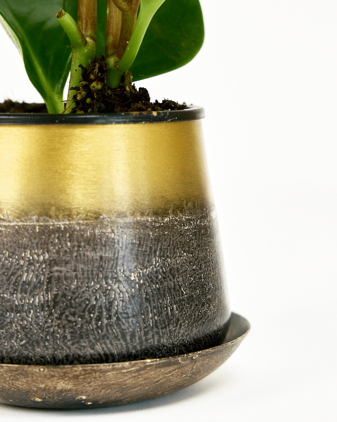 Joe Metal Pot With Drainage Hole - Chive Ceramics Studio - Pots - Chive US