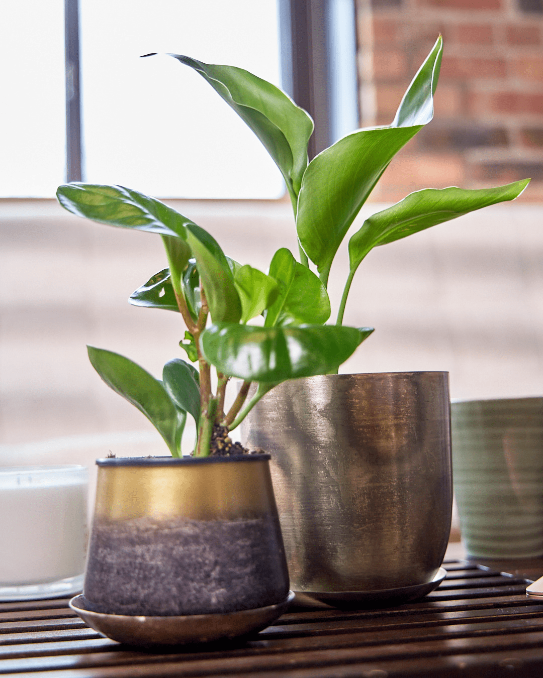 Joe Metal Pot With Drainage Hole - Chive Ceramics Studio - Pots - Chive US