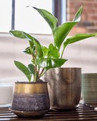 Joe Metal Pot With Drainage Hole - Chive Ceramics Studio - Pots - Chive US