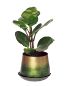 Joe Metal Pot With Drainage Hole | 3 & 5 inch - Chive Ceramics Studio - Pots - Chive Ceramics Studio