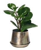 Joe Metal Pot With Drainage Hole | 3 & 5 inch - Chive Ceramics Studio - Pots - Chive Ceramics Studio