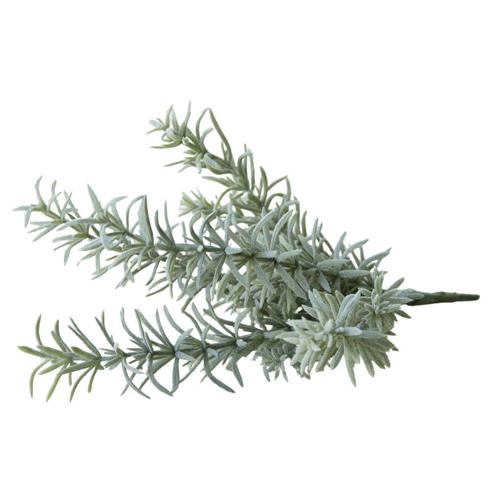 Succulents Fake Faux Lifelike Decorative Things - Chive Ceramics Studio - Tools & Accessories - Chive US