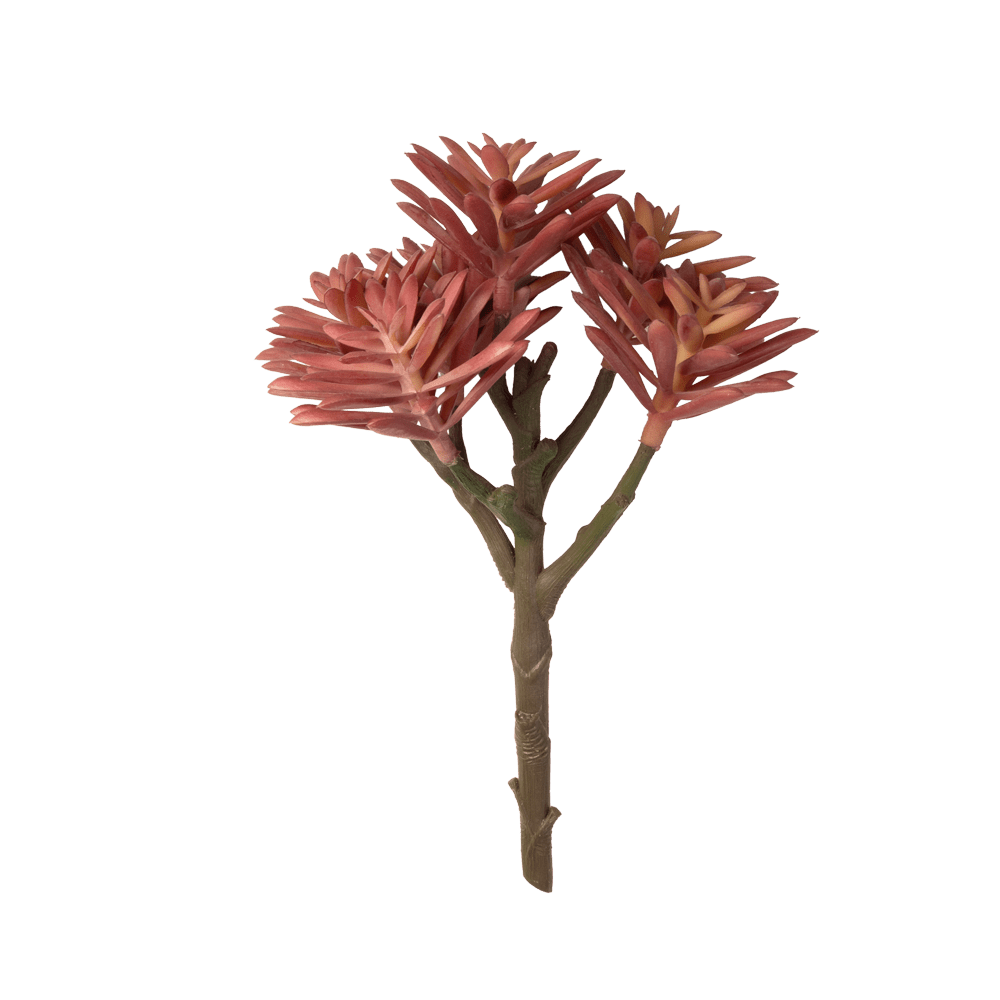 Premium Artificial Succulents - Lifelike Botanical Decor - Chive Ceramics Studio - Chive US Wholesale