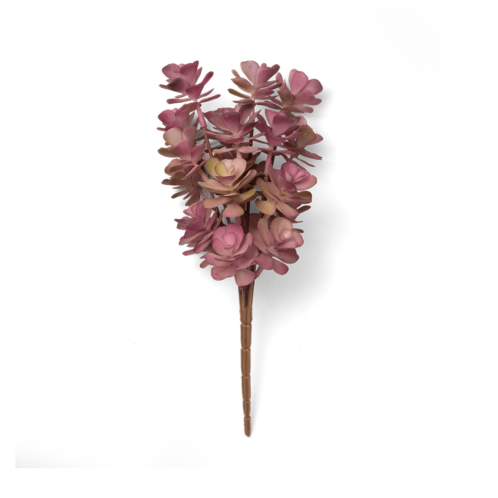 Premium Artificial Succulents - Lifelike Botanical Decor - Chive Ceramics Studio - Chive US Wholesale